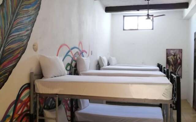 Siesta Fiesta Hostel