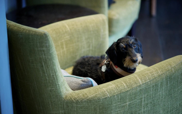 The Lodge Hotel - Putney