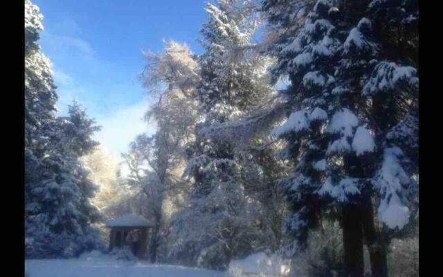 The Beeches Studio, Highlands of Scotland
