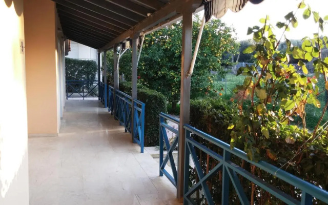 V-Apartments