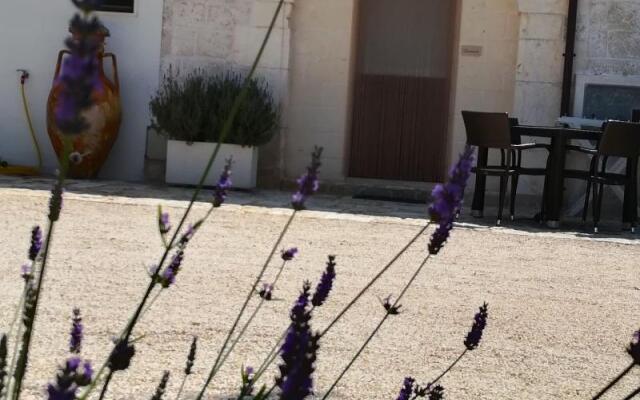 B&B Demetra