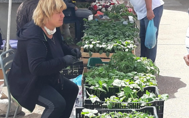 Apartman Petrovic CITY CENTER TROGIR