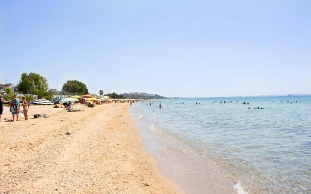 Dionisos Palms