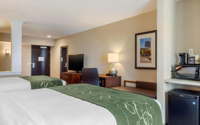 Comfort Inn & Suites Schenectady - Scotia