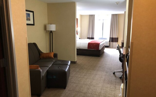 Comfort Suites South