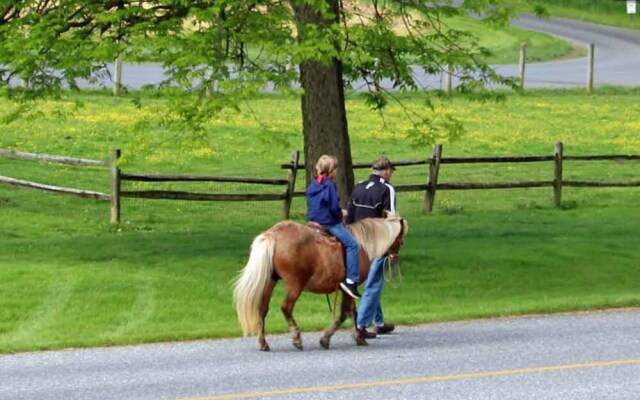 Rocky Acre Farm Bed and Breakfast