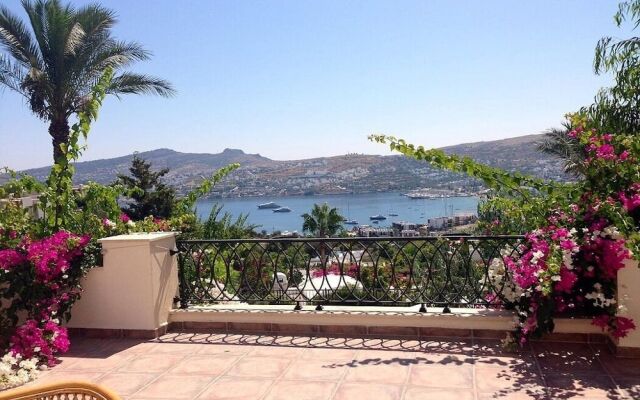 BO092 by Villaofsummer