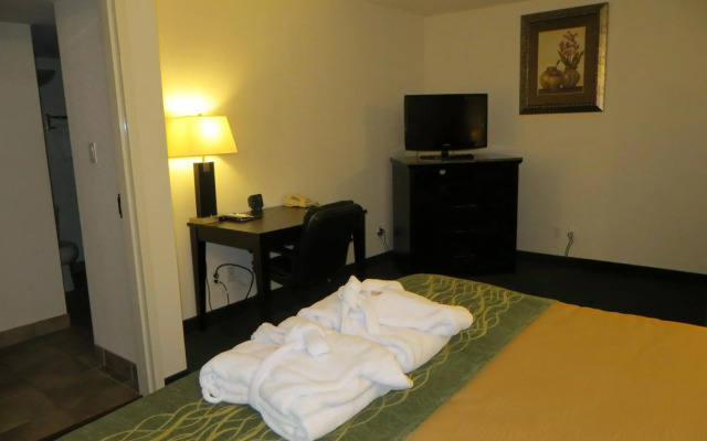 Comfort Inn & Suites Downtown Edmonton