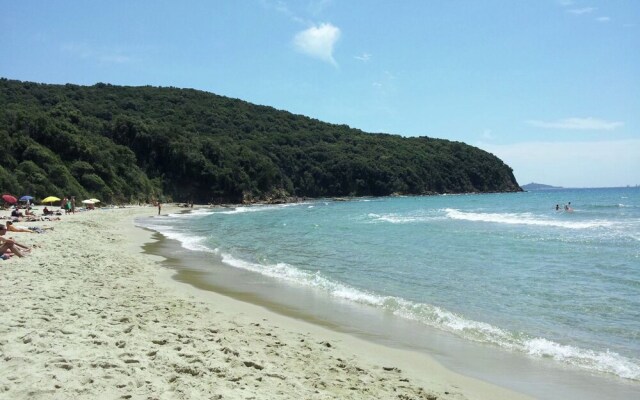 Cozy Apartment With a Terrace, Near the Sea