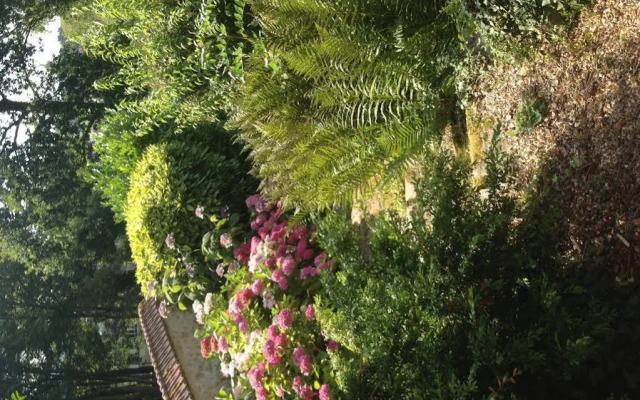 Les Hortensias