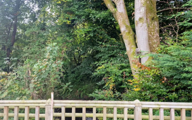 Glamping Hut - Riverside 1