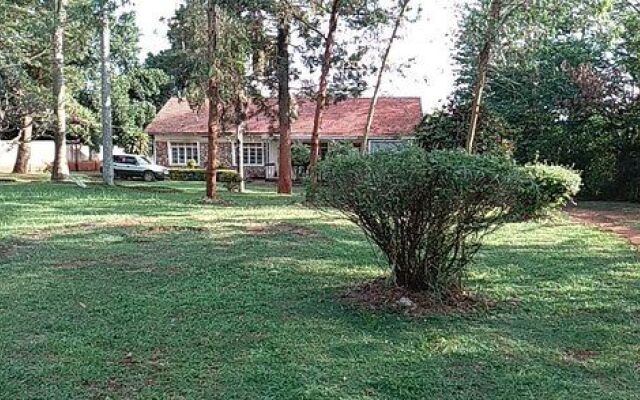 Studio 62 Guest House