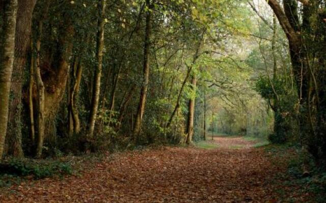 Proche Puy du Fou - Roches Blanches
