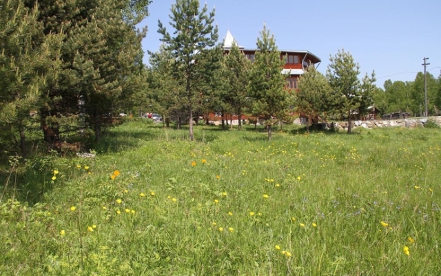 Krugobaykalskaya Holiday Park