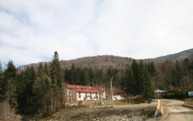 Pension Floarea Reginei