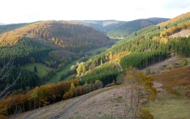 Serene Apartment near Ski Area in Hesborn