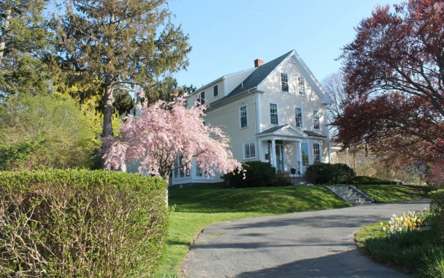 Beech Tree Bed and Breakfast