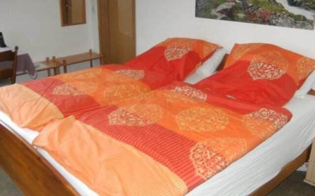 Alter Olper Hof - Hotel ** Superior Garni - Rezeption -Tagsüber