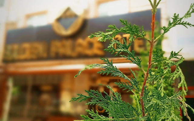 Mi̇raç Golden Palace Otel