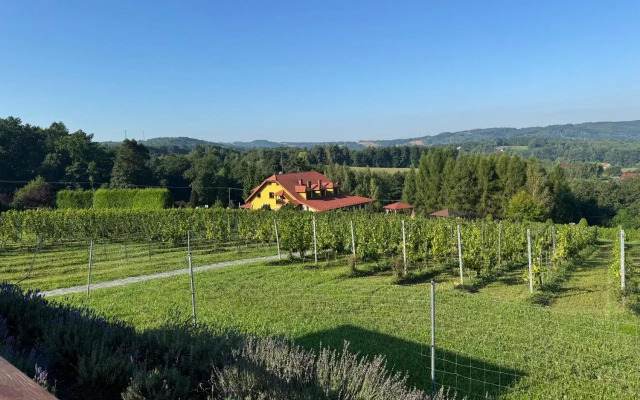 Winnica Maria Anna