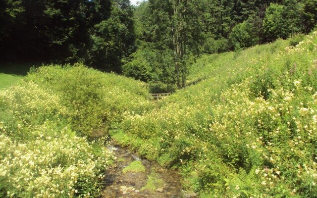 Le vieux moulin Bohan