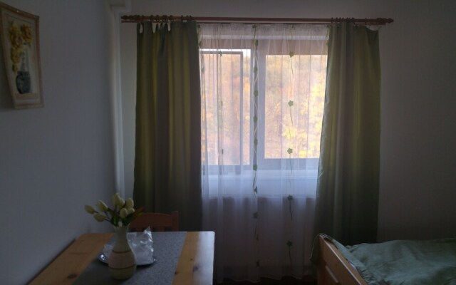Pensiunea Casa Vanatorului