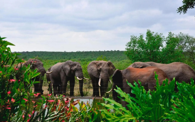 Tingala Lodge
