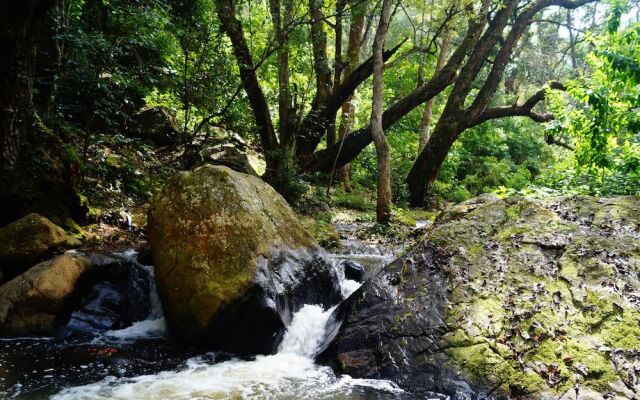 Secret Valley Jungle Resort