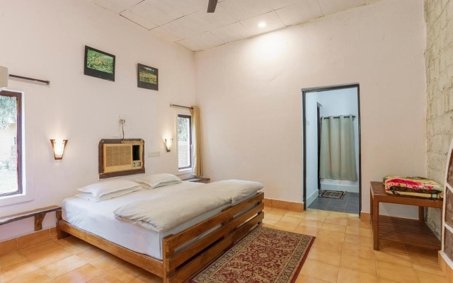 Jungle King Resort