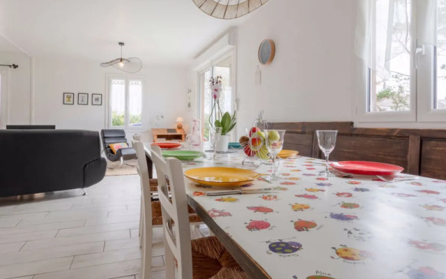 Les Cordylines (ASM400)