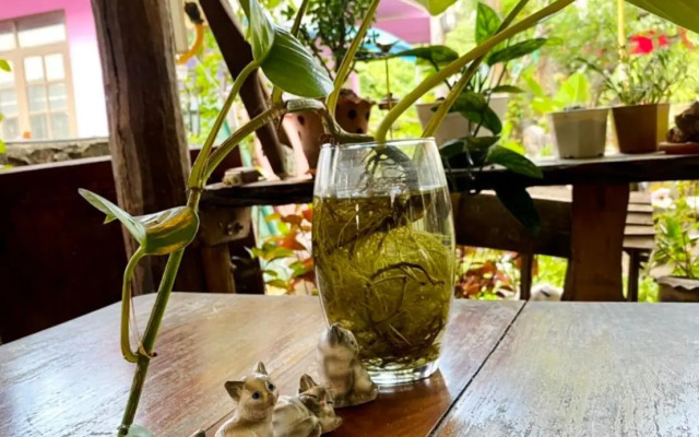 Thai Guesthouse