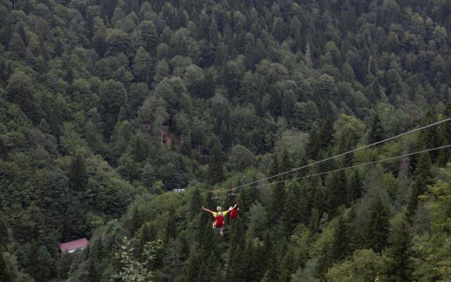 Sairme Hotels & Resorts