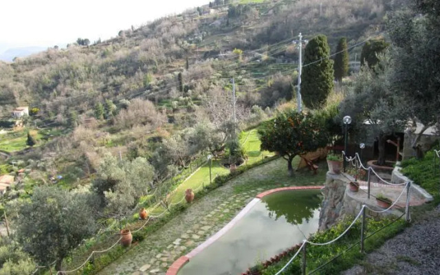 La collina del nibbio