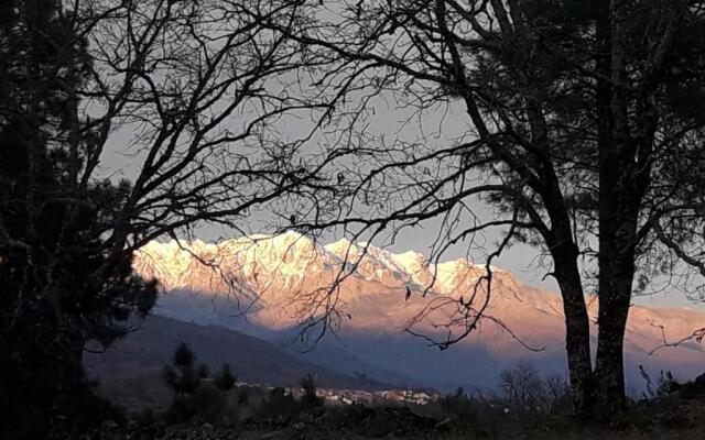 Apartamentos Rurales Ecopangea