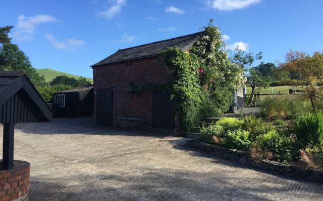 The Royston At Llwynaire