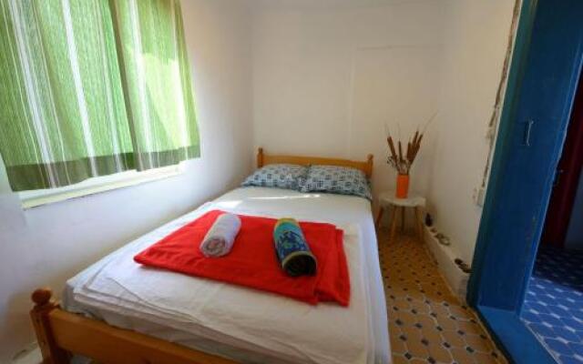 Danube Delta Hostel Homestay