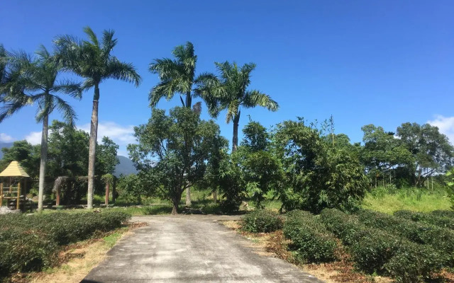 Dong Li Tea Homestay