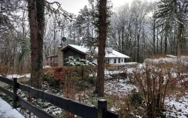 Chalet Des Pins D'autriche