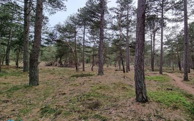 Heidhohn Comfortable Holiday Residence