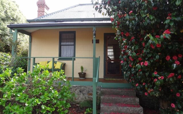 Camellia Cottage on Maple Hill