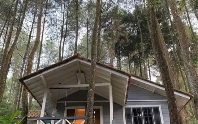 The Pine Forest Villas