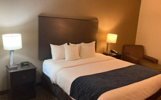Comfort Inn Wings Stadium
