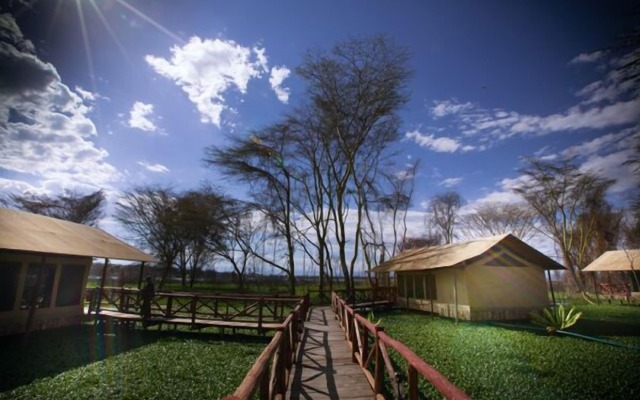 Kiboko Luxury Camp