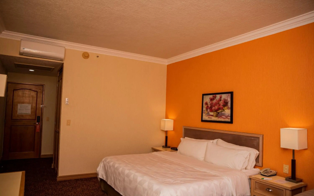 Holiday Inn La Piedad by IHG