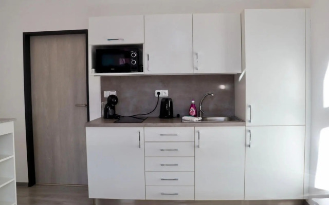 Modern apartments Brno-center