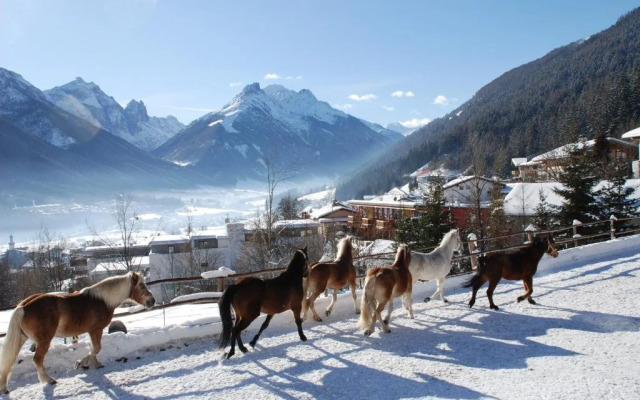 Kassnhof - der Reit- und Ponybauernhof