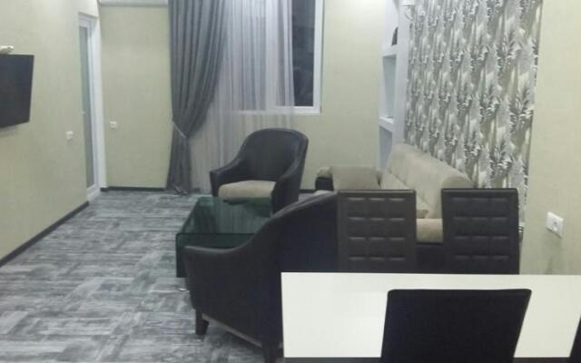 Apartments on Inasaridze 14