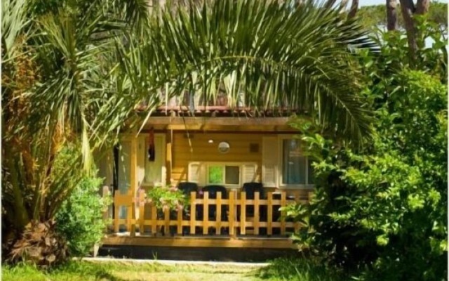 Hu Park Albatros Village