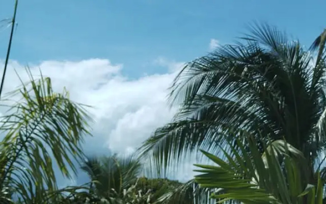 Hostel Tropico 20 PDC