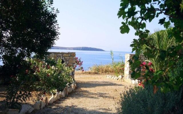 Blue & Sea Studios
